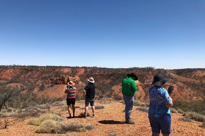 Dinosaur Stampede 3/4 Day Tour from Winton - A Closer Look at the Tour Experience