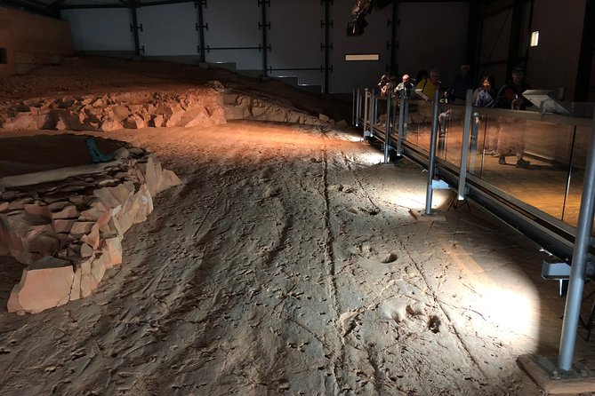 Dinosaur Stampede 3/4 Day Tour Including Merton Gorge - Accessibility and Guided Tour Experience