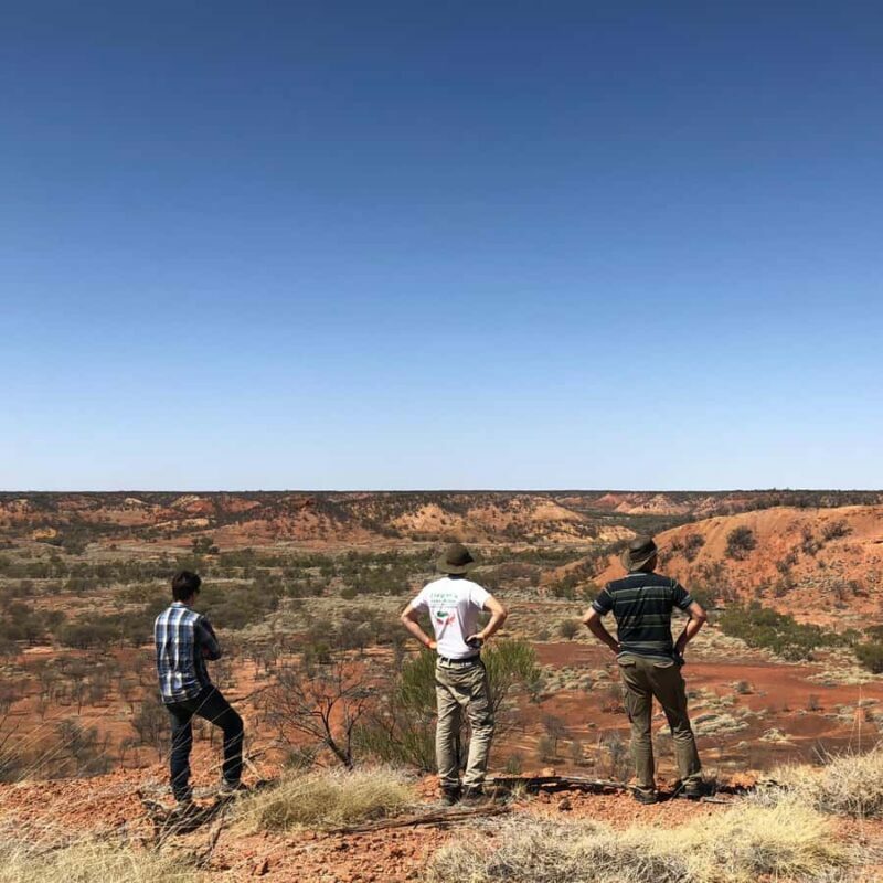 Dinosaur Stampede 3/4 Day Tour - FAQ