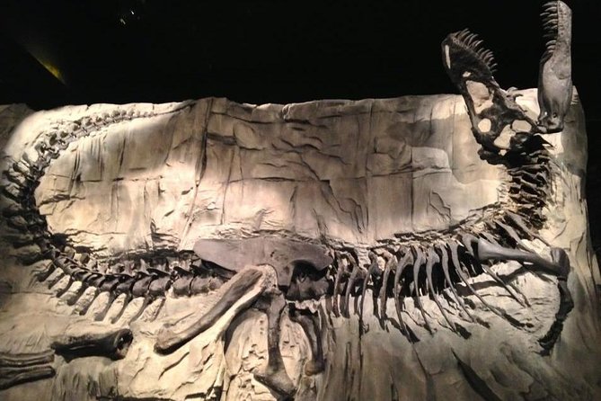 Dinosaur World 1 Day: Drumheller-Badland-Hoodoo-Mine National Historic - Additional Information