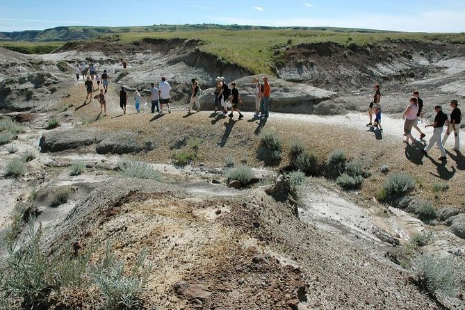 Dinosaur World 1 Day: Drumheller-Badland-Hoodoo-Mine National Historic - Itinerary Flexibility