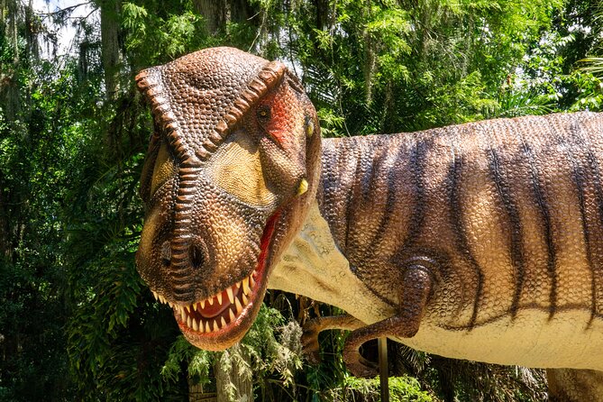 Dinosaur World Theme Park - Accessibility Features