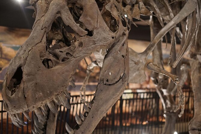 Dinosaur World Theme Park - Pricing and Booking Information