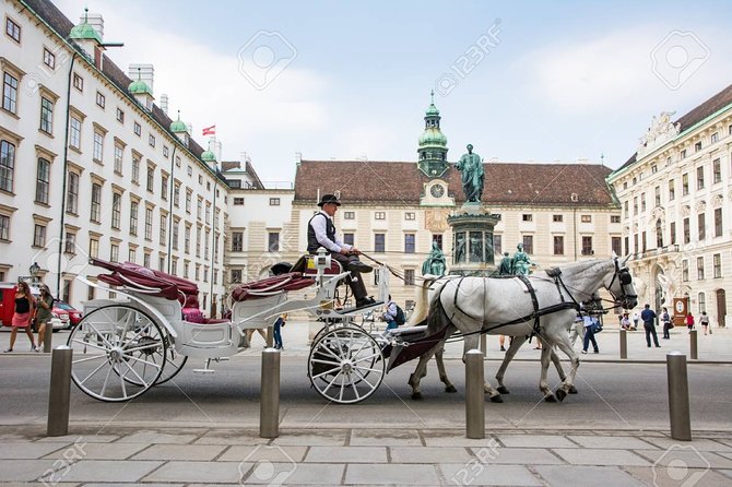 Direct One Way Transfer From Vienna to Prague - Accessibility and Participation