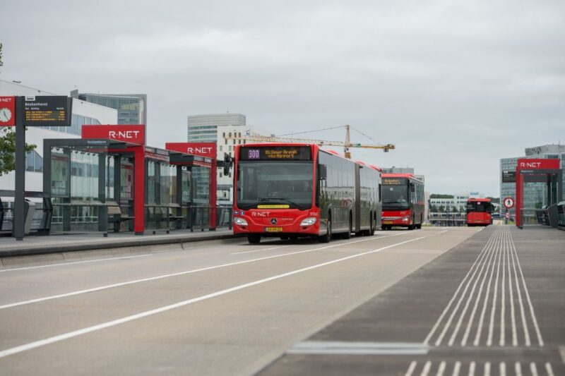Direct Schiphol Bus Transfer to Haarlem City Center (Return) - Key Points