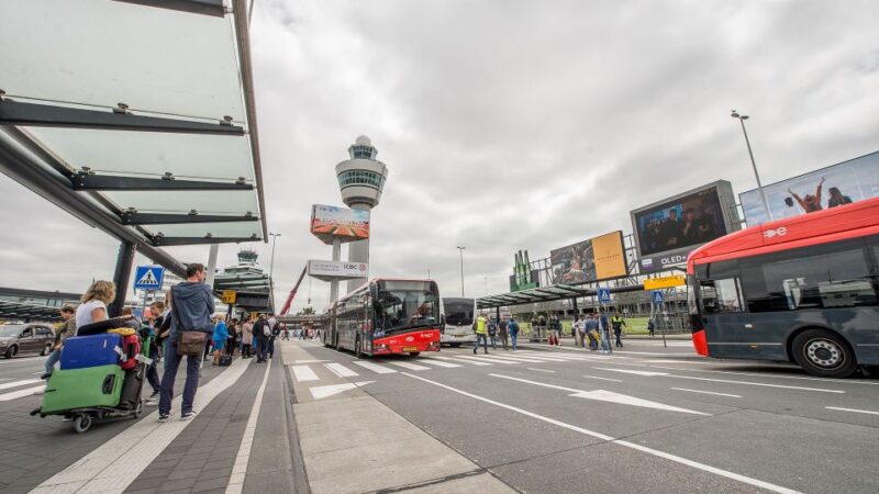 Direct Schiphol Bus Transfer to Haarlem City Center (Return) - Amenities and Facilities