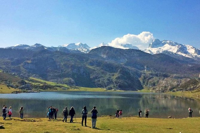 Direct Tour to Covadonga Lakes Picos De Europa From Oviedo - Basilica De Santa Maria La Real De Covadonga