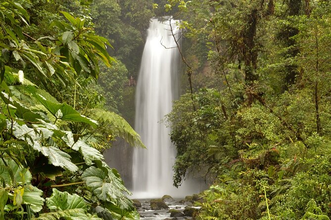 Direct Transfer From Cahuita to San Jose, English Speaking Driver - Pricing and Booking