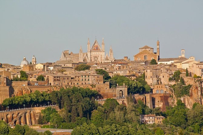 Direct Transfer From Tour Hotel in ORVIETO to Your Hotel in ROME - Included Services and Features