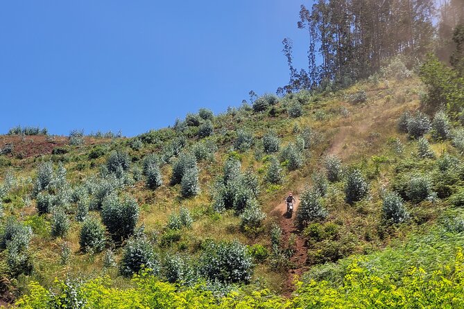 Dirt-Bike Tour in Madeira - Guided Experience