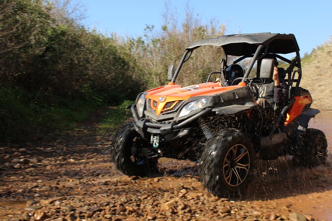 Dirt & Dust Buggy Tour - Provider Information