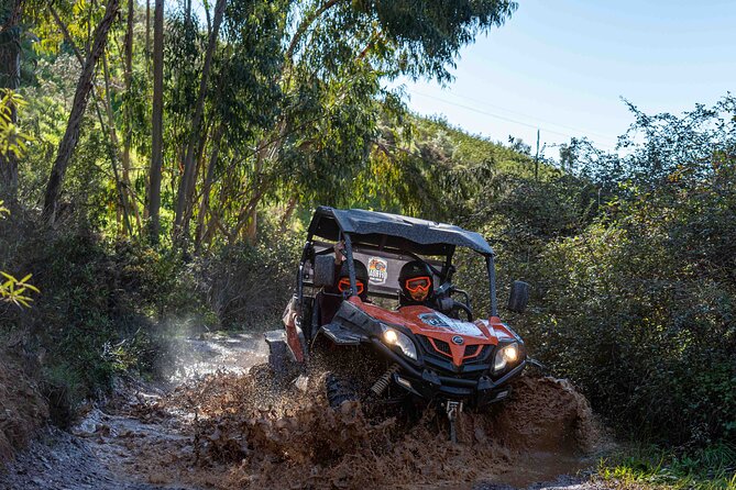 Dirt & Dust Paradise Buggy Day Tour at Silves Portugal - Tour Overview