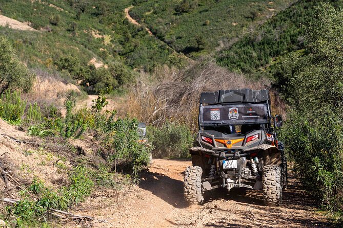 Dirt & Dust Paradise Buggy Day Tour at Silves Portugal - Silves - A Charming Portuguese Town