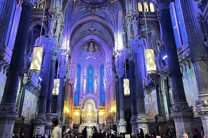 Discorver Lyon in a Private Tour With Your Driver - Accessibility Considerations