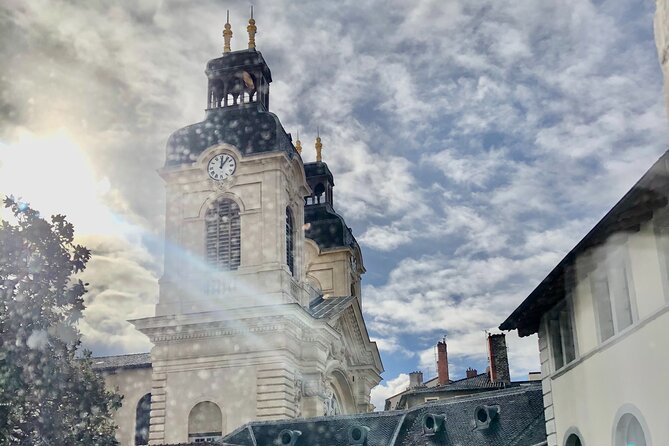 Discorver Lyon in a Private Tour With Your Driver - Included Amenities