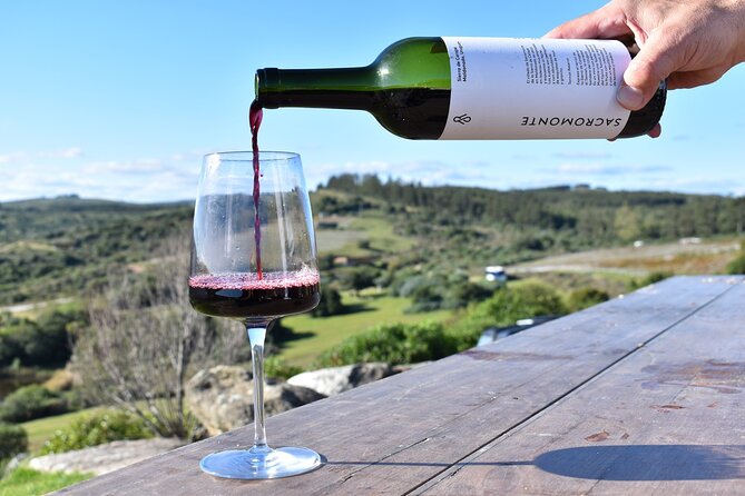 Discover a Hidden Vineyard off the Beaten Track! - Key Points