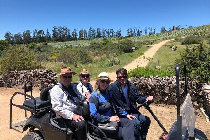 Discover a Hidden Vineyard off the Beaten Track! - Memorable Wine Tasting Experience