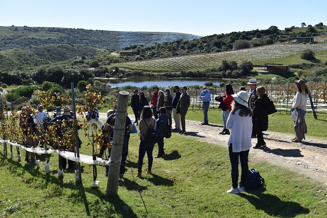 Discover a Hidden Vineyard off the Beaten Track! - Included Amenities and Accessibility