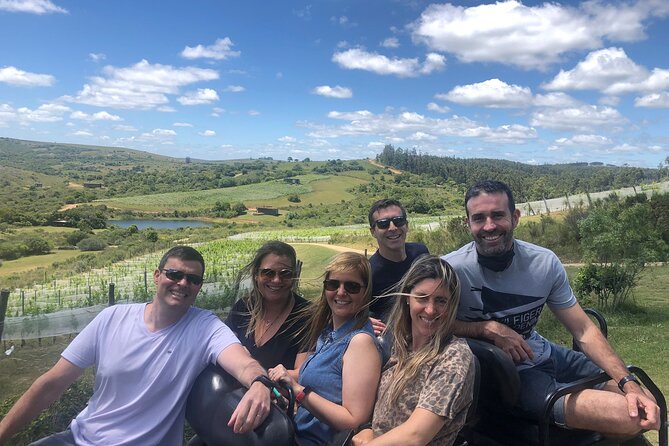 Discover a Hidden Vineyard off the Beaten Track! - Exceptional Customer Feedback