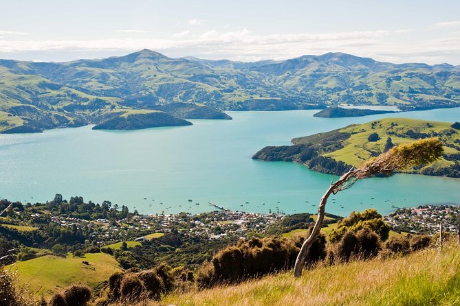 Discover Akaroa: Self Guided Audio Tour - Exploring Akaroas Highlights