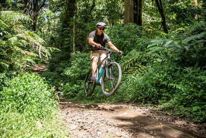 Discover An Enchanting Banyumala Twin Waterfall by Bike - Captivating Landscapes of Bali