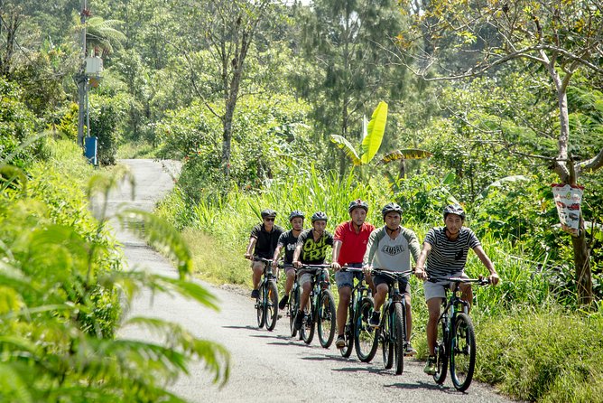 Discover An Enchanting Banyumala Twin Waterfall by Bike - Convenient Pickup and Meeting