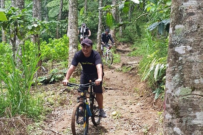 Discover An Enchanting Banyumala Twin Waterfall by Bike - Explore Related Adventurous Tours