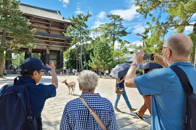 Discover Ancient Nara: Private Car Tour From Kyoto or Osaka - Nara Park: Deer, Delight, and Discovering Tranquility