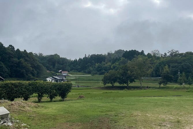 Discover and Traditions of Hiroshima's Mountain Cuisine & Cooking - Discovering Unique Ingredients and Flavors
