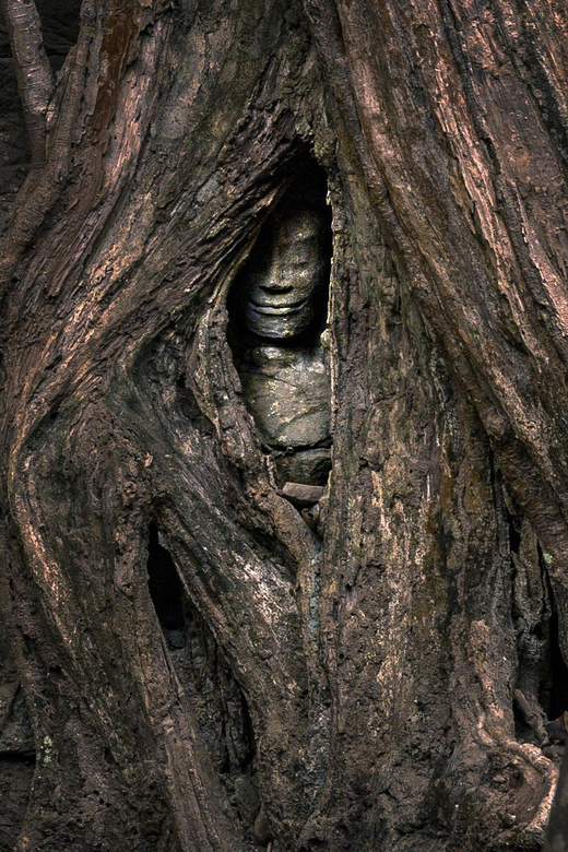 Discover Angkor Wat and Complex Full Day - Good To Know