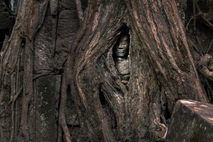 Discover Angkor Wat and Complex Full Day - Frequently Asked Questions