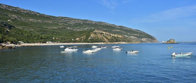 Discover Arrábida: Wine and Scenic Wonders - Gourmet Culinary Delights