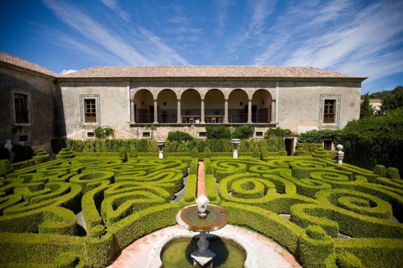 Discover Arrábida: Wine and Scenic Wonders - Multilingual Guide Expertise