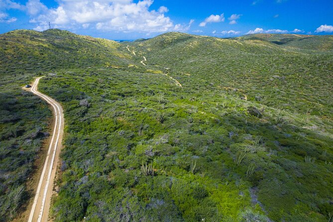 Discover Aruba Self Guided Island Tour - Operating Hours and Accessibility