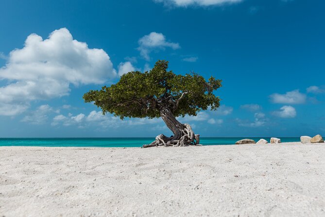 Discover Aruba Self Guided Island Tour - Exploring the Islands Highlights