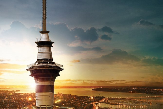 Discover Auckland City - Highlights Tour - Traveler Feedback