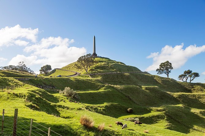 Discover Auckland City - Highlights Tour - Booking and Pricing