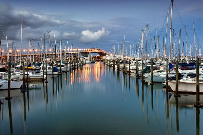 Discover Auckland City - Highlights Tour - Accessibility