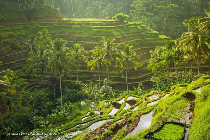 Discover Bali in 2 Days Private Tour Package - Pickup Information