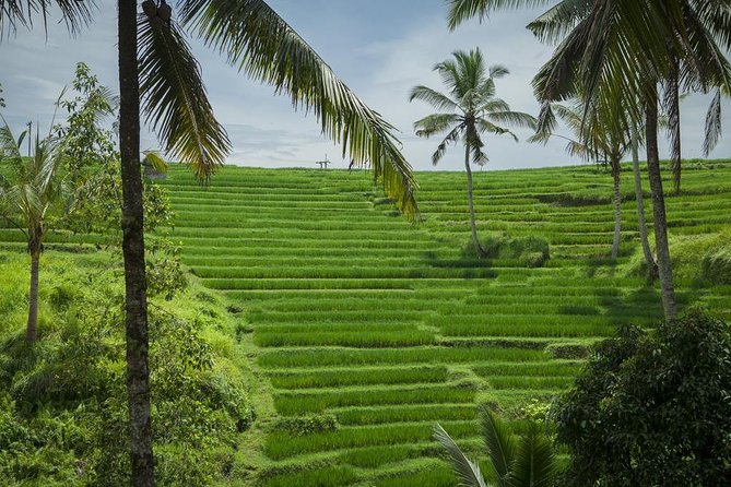 Discover Bali in 2 Days Private Tour Package - Discover Balis Family Temples