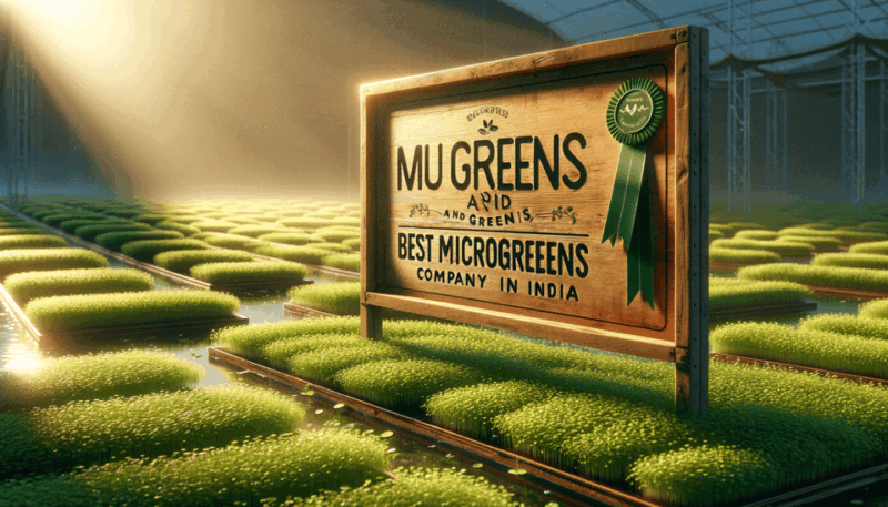 Discover Bangalores Secret Urban Farming Oasis - Urban Farming Methodology