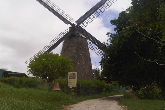 Discover Barbados With Inajas Transport and Tours - Reviews and Feedback