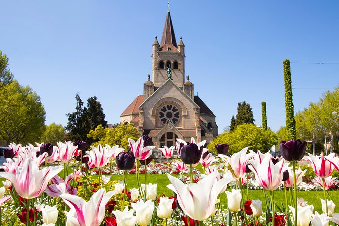 Discover Basel'S Most Photogenic Spots With a Local - Tour Features
