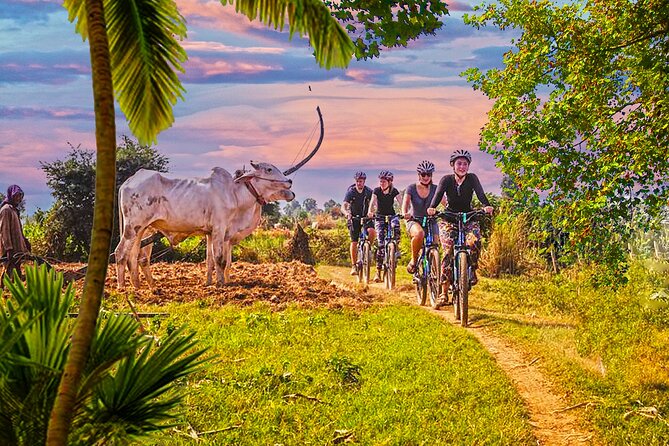 Discover Battambang Local Livelihoods on a Half-Day Bicycle Tour - Tour Features