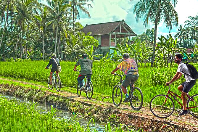 Discover Battambang Local Livelihoods on a Half-Day Bicycle Tour - Customer Feedback