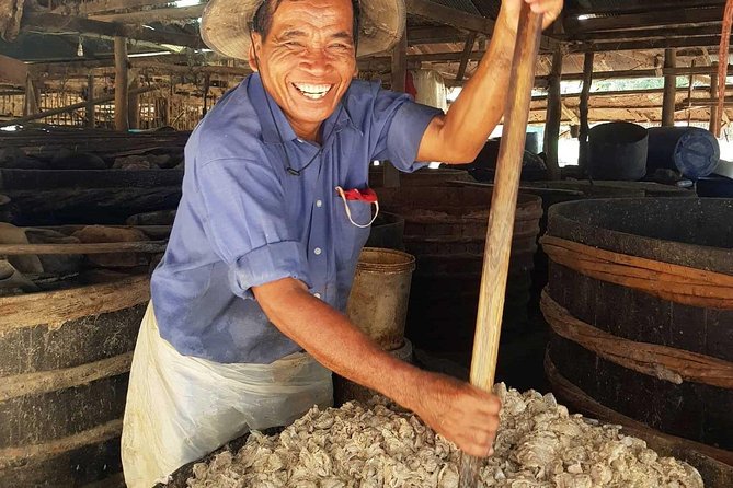 Discover Battambang Local Livelihoods on a Half-Day Bicycle Tour - Sustainable Travel Option