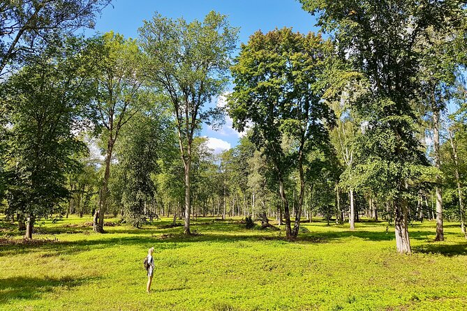 Discover Best Of Gauja National Park In One Day - Explore Turaida Museum Reserve