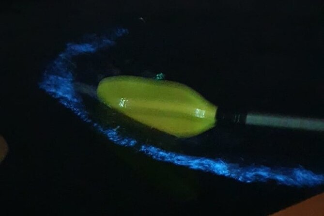 Discover Bioluminescent Plankton Using Kayak in Lan Ha Bay - Itinerary and Activities