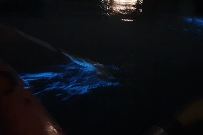 Discover Bioluminescent Plankton Using Kayak in Lan Ha Bay - Inclusions and Exclusions