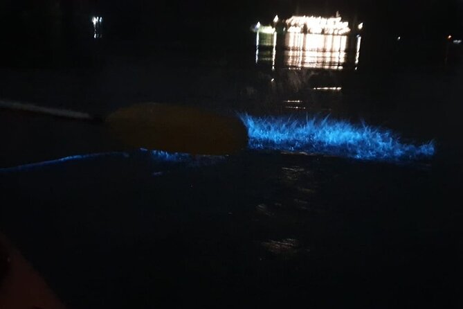 Discover Bioluminescent Plankton Using Kayak in Lan Ha Bay - Cancellation and Refund Policy
